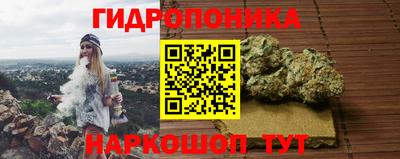 прущие грибы Кулебаки