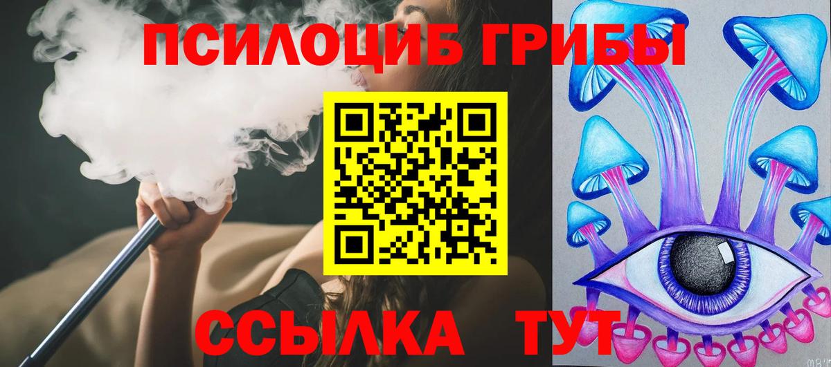 Ярцево  как найти наркотики  Вход с VPN  Галлюциногенные грибы Magic Shrooms  Псилоцибиновые грибы Cubensis 